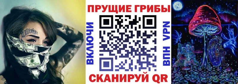 Псилоцибиновые грибы Psilocybe  Зея 